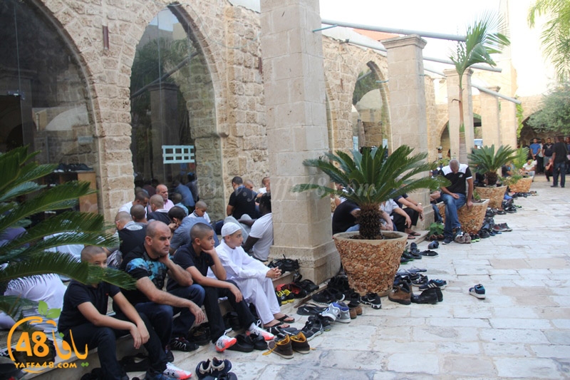 3ed ad7a mahmoudaia (22).JPG